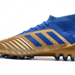 Scarpe da calcio Adidas Predator 19.1 AG d'oro Blu
