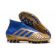 Scarpe da calcio Adidas Predator 19.1 AG doro Blu