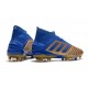 Scarpe da calcio Adidas Predator 19.1 FG 25th Anniversaire doro Blu