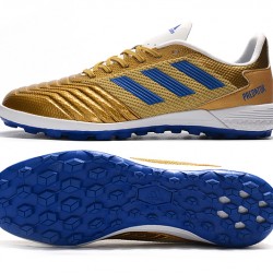 Scarpe da calcio Adidas Predator 19.1 TF d'oro Blu